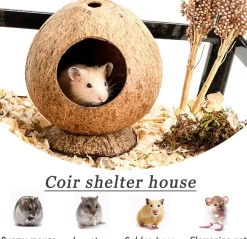 DOWNYPAWS - Boîte d'oiseau en coque de noix de coco pour la reproduction et la décoration type sur pied