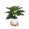 DOWNYPAWS - Bouquet de plantes artificielles + pot de fleurs monstera à branches basses