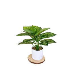 DOWNYPAWS - Bouquet de plantes artificielles + pot de fleurs en feuille de pastèque