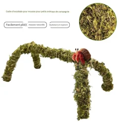 DOWNYPAWS - Bâton de mousse flexible 42 cm pour les crabes d'ermite jouet de grimpe