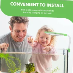 DOWNYPAWS - Éclairage led 3w pour plantes aquatiques
