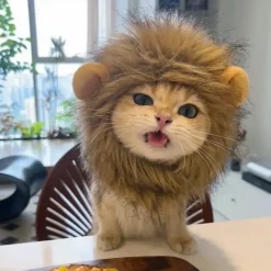 DOWNYPAWS - Coiffe de chapeau de lion mignon pour chiens et chats