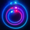DOWNYPAWS - Collier lumineux rechargeable pour chien taille m : 50 cm de circonférence