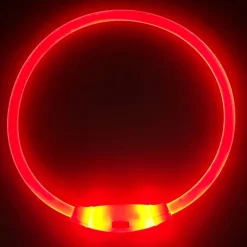 DOWNYPAWS - Collier lumineux rechargeable pour chien taille l rouge : 70 cm de circonférence