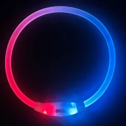 DOWNYPAWS - Collier lumineux rechargeable pour chien taille s : 30 cm de circonférence