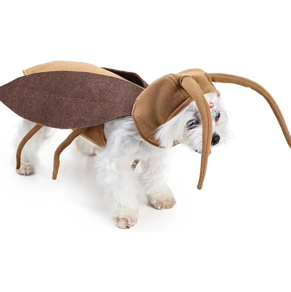 DOWNYPAWS - Costumes d'halloween pour chats et chiens - déguisement de cafard d'halloween