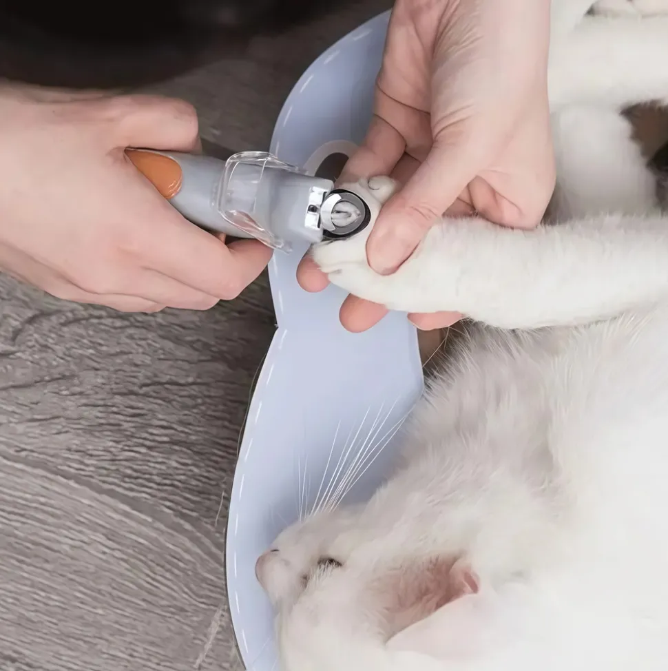 DOWNYPAWS - Coupe - griffes professionnel avec lumière led pour chiens et chats