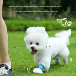 DOWNYPAWS - Couvoirs à pied jetables pour chien, non tissés, anti - glissement et imperméables taille m downypaws