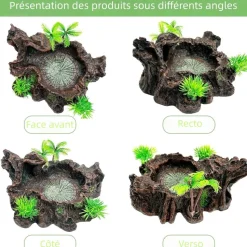 DOWNYPAWS - Décoration d'aquarium pour reptiles