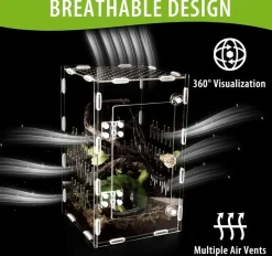 DOWNYPAWS - Enclos en acrylique pour araignées sauteuses et terrarium ventilé adapté à tous les reptiles