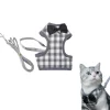 DOWNYPAWS - Ensemble de laisse pour chat m