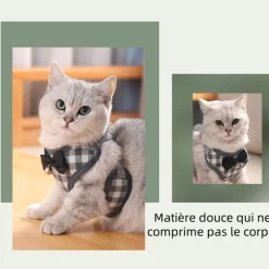DOWNYPAWS - Ensemble de laisse pour chat m