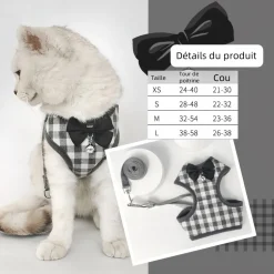 DOWNYPAWS - Ensemble de laisse pour chat s