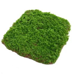 DOWNYPAWS - Feuille de mousse artificielle en peluche 40×60 cm