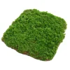 DOWNYPAWS - Feuille de mousse artificielle en peluche 20×20 cm*2 pièces