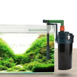 DOWNYPAWS - Filtre externe mural pour aquarium