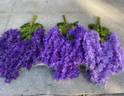 DOWNYPAWS - Fleurs de glycine artificielles, 12 tiges, violet foncé