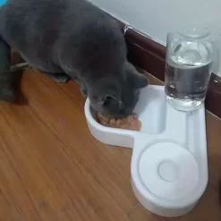DOWNYPAWS - Fontaine Et Gamelle Automatiques Pour Chats