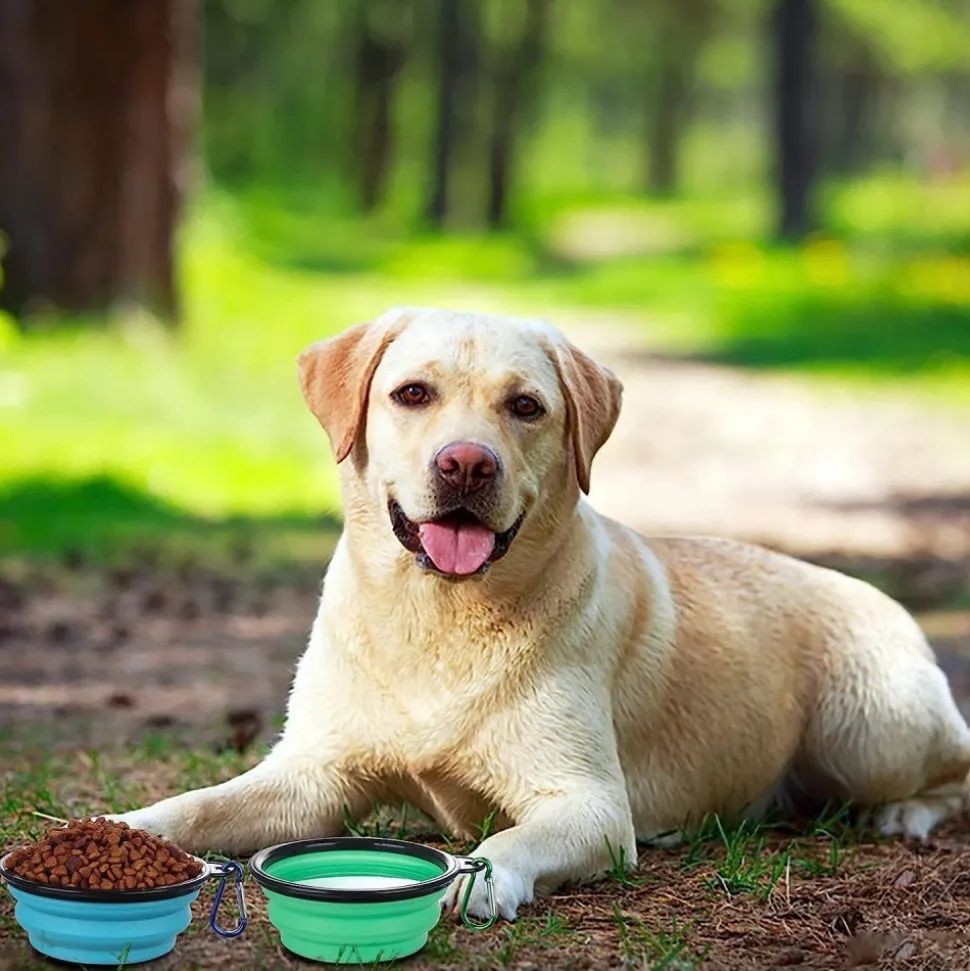 DOWNYPAWS - Gamelles pliables pour chiens et chats-bleu clair + vert clair - bol 350ml + boucle + couvercle