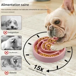 DOWNYPAWS - Gamelles pour chien