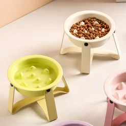 DOWNYPAWS - Gamelles slow food pour chats et chiens
