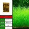 DOWNYPAWS - Graines d'herbe aquatique eleocharis parvula