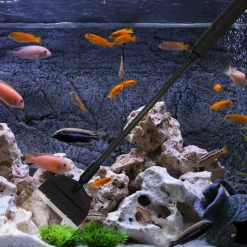 DOWNYPAWS - Grattoir à algues pour aquarium en verre
