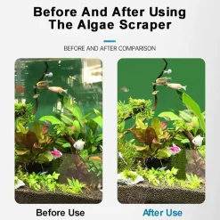 DOWNYPAWS - Grattoir à algues pour aquarium en verre