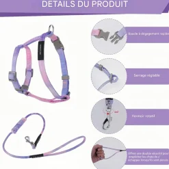 DOWNYPAWS - Harnachement et laisse pour chat s