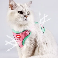 DOWNYPAWS - Harnais avec laisse pour chat xl
