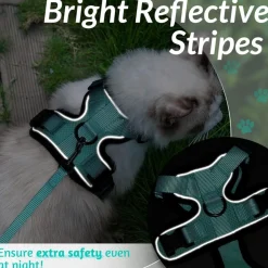 DOWNYPAWS - Harnais et laisse réfléchissants pour chat xs