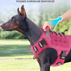 DOWNYPAWS - Harnais pour chien-anneau en d avec poignée- taille m