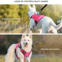 DOWNYPAWS - Harnais pour chien-anneau en d avec poignée- taille s