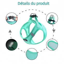 DOWNYPAWS - Harnais pour chats et chiens xs