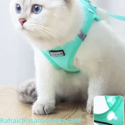DOWNYPAWS - Harnais pour chats et chiens xs