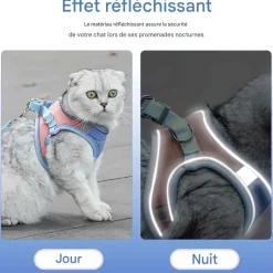 DOWNYPAWS - Harnais pour chat avec laisse et doublure réfléchissante l