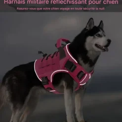 DOWNYPAWS - Harnais pour chien-anneau en d avec poignée- taille l