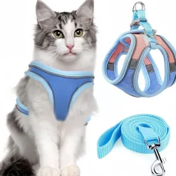 DOWNYPAWS - Harnais pour chat avec laisse et doublure réfléchissante m