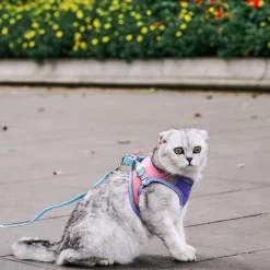 DOWNYPAWS - Harnais pour chat avec laisse et doublure réfléchissante m