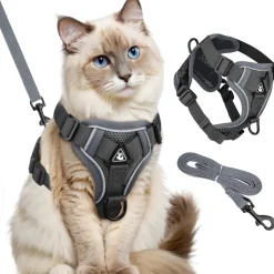 DOWNYPAWS - Harnais réfléchissant réglable pour chat - avec laisse l