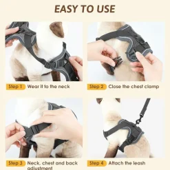 DOWNYPAWS - Harnais réfléchissant réglable pour chat - avec laisse l
