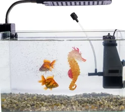 DOWNYPAWS - Hippocampe en silicone lumineux simulé pour la décoration d'aquarium avec ventouse orange*2