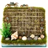 DOWNYPAWS - Jeu d'escalade pour hermit crab et escargot 4 pièces