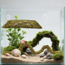 DOWNYPAWS - Jeu d'escalade pour hermit crab et escargot 2 pièces