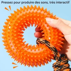DOWNYPAWS - Jouets à mâcher pour chien jouet couineur avec corde pour chiot, dentition, soulagement de l'ennui, stimulation mentale