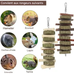 DOWNYPAWS - Jouets à mâcher - 2 pièces branches de pommier naturel