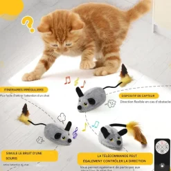 DOWNYPAWS - Jouets pour chats souris électrique-avec télécommande et câble de chargement usb