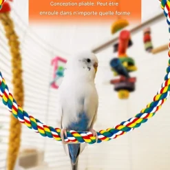 DOWNYPAWS - Jouets pour oiseaux-jouet à corde pour oiseaux 100cm-forme réglable avec cloche