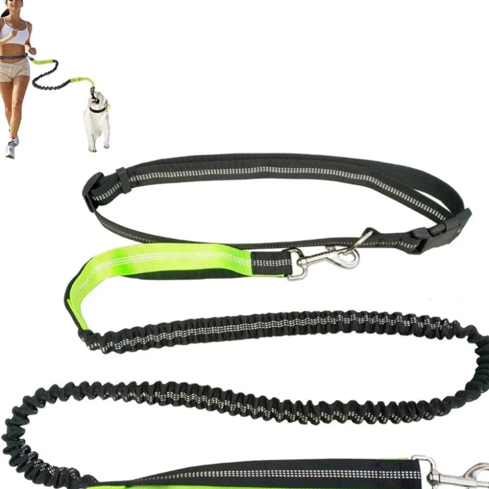 DOWNYPAWS - Laisse chien mains libres gris