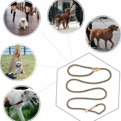 DOWNYPAWS - Laisse pour chienlaisse de dressage et collier réfléchissants et coulissants en nylon de 180 cm, couleur beige,